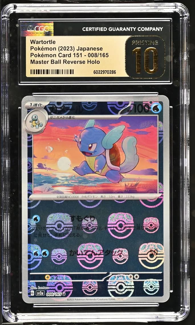 Wartortle slab