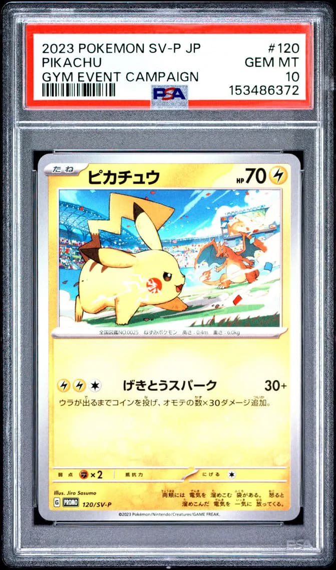 Pikachu slab