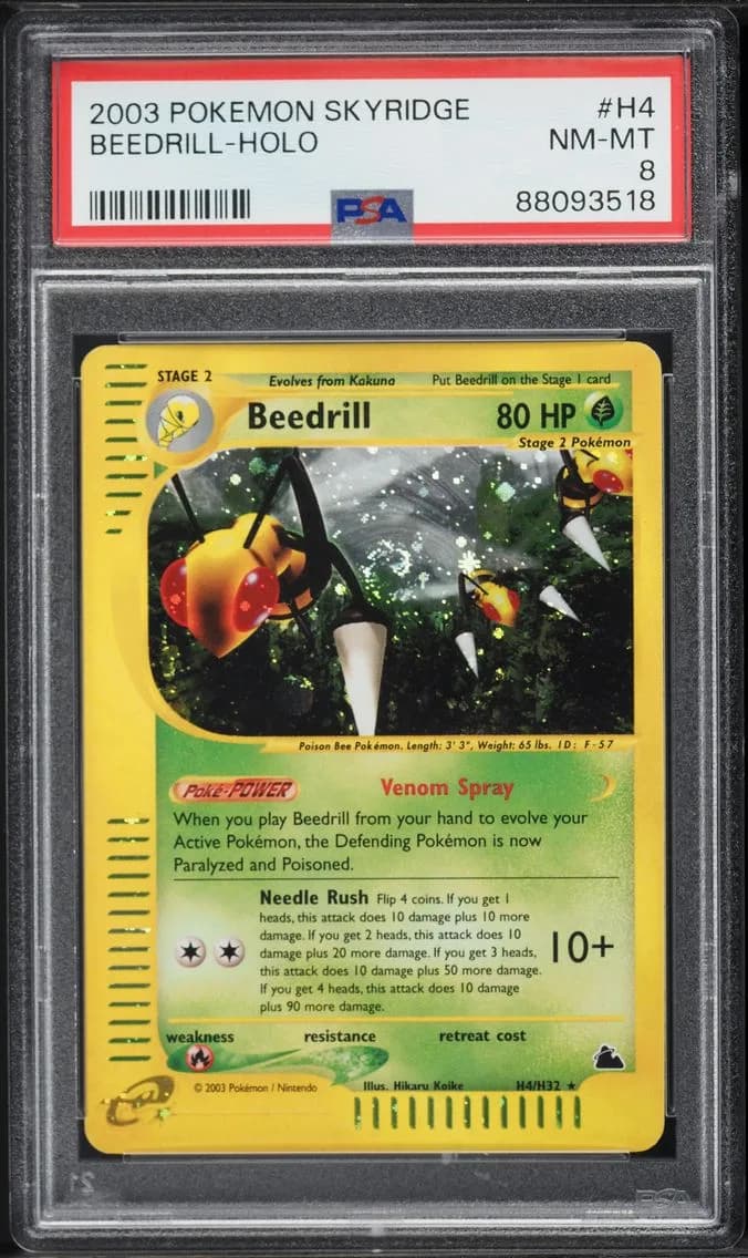 Beedrill slab