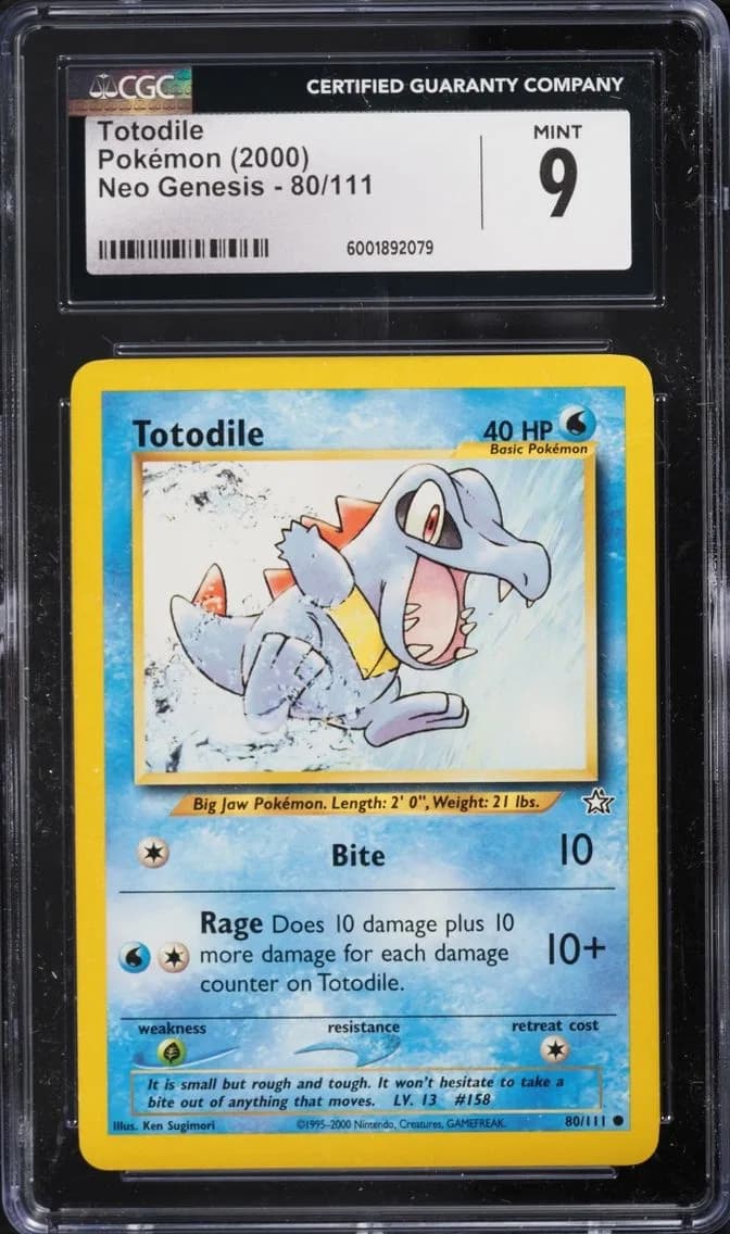 Totodile slab
