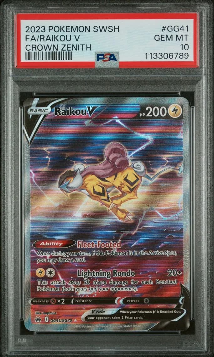 Raikou V slab