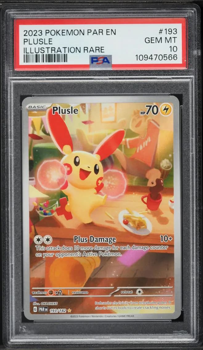 Plusle slab