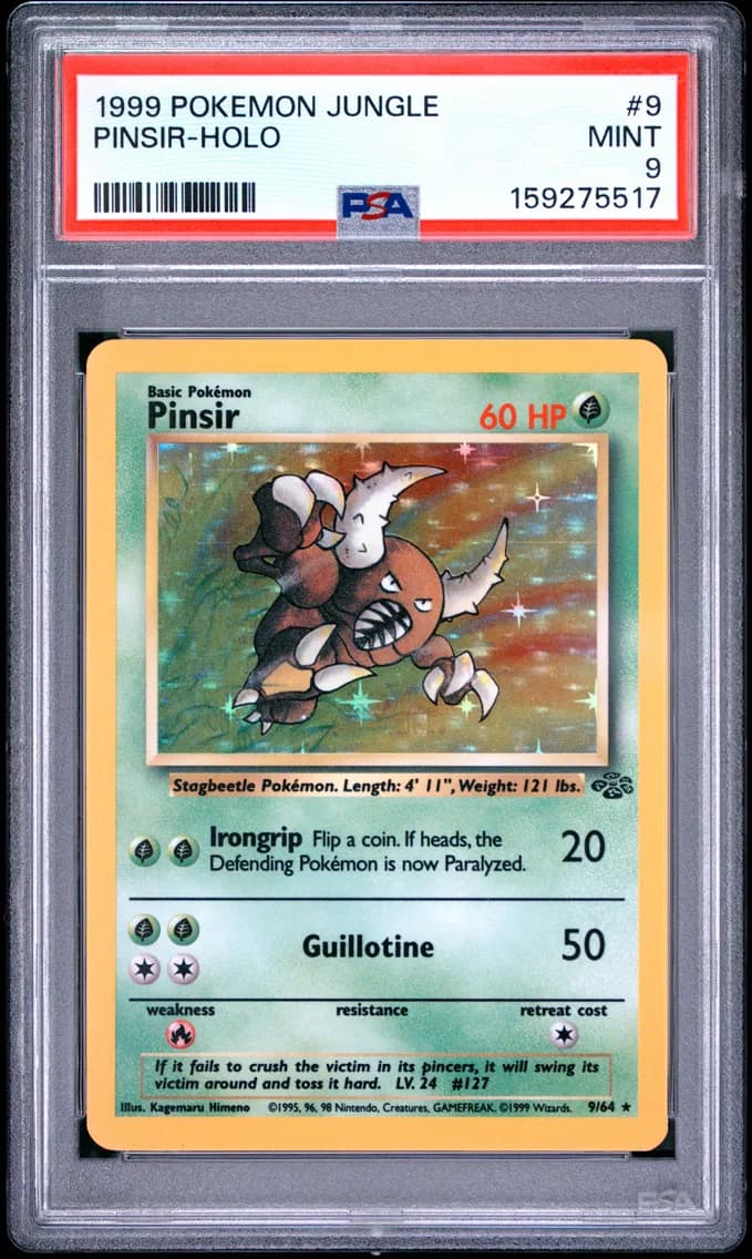 Pinsir slab