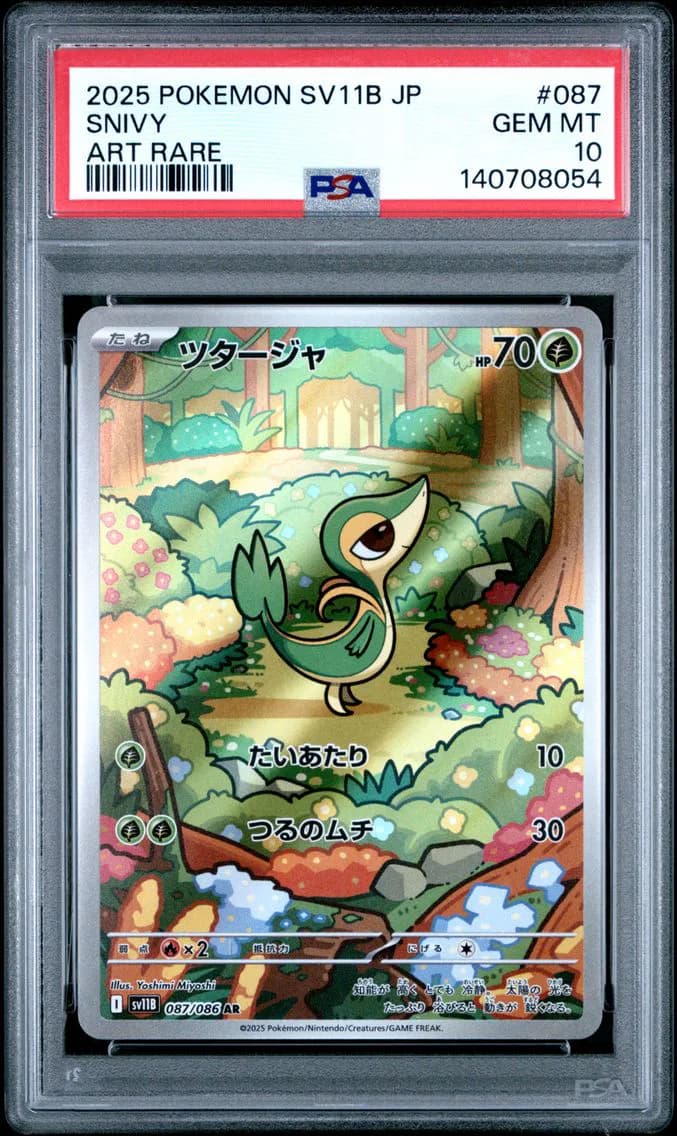 Snivy slab