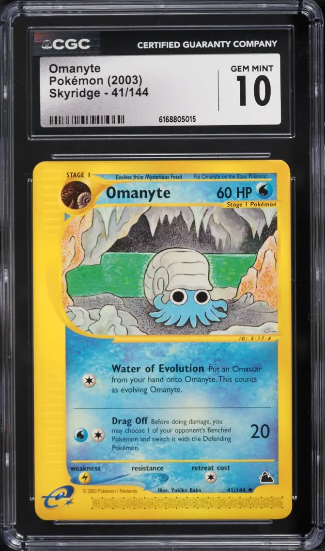 Omanyte slab