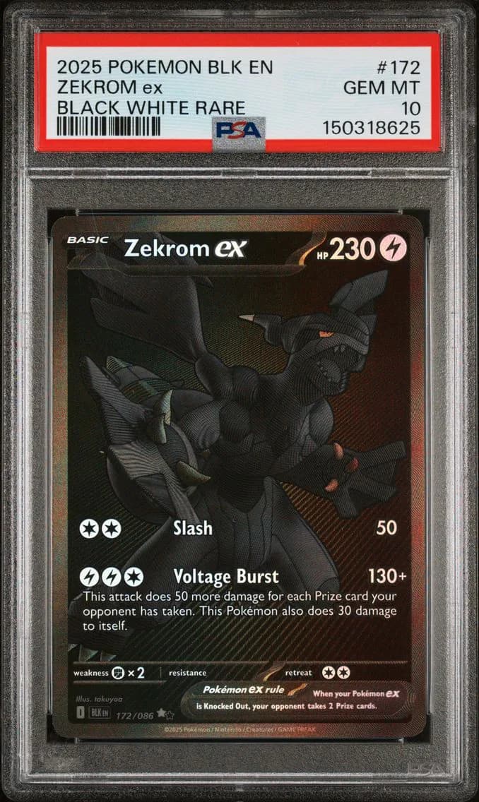 2025 #172 Zekrom EX PSA 10 Blk EN-Black Bolt