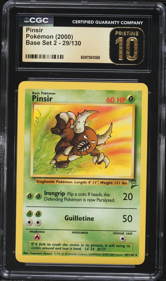 Pinsir slab