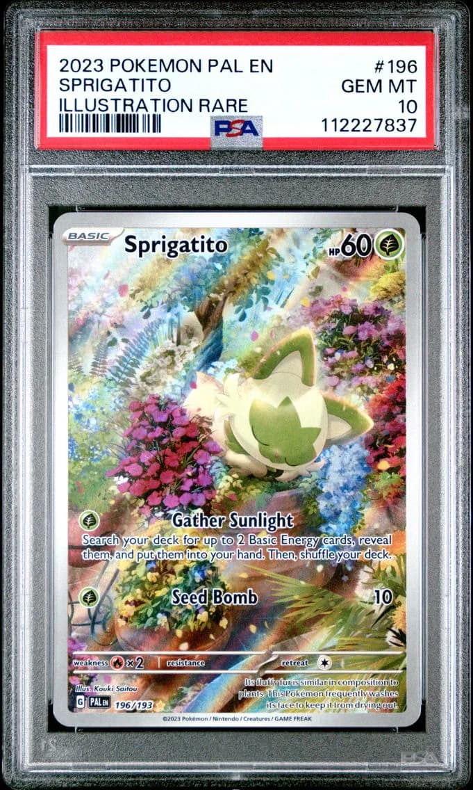 2023 #196 Sprigatito PSA 10 Pal EN-Paldea Evolved Pokemon
