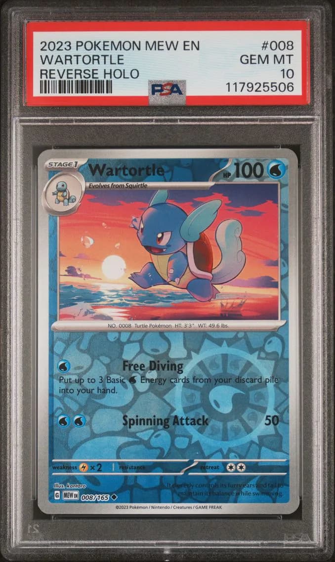 Wartortle slab