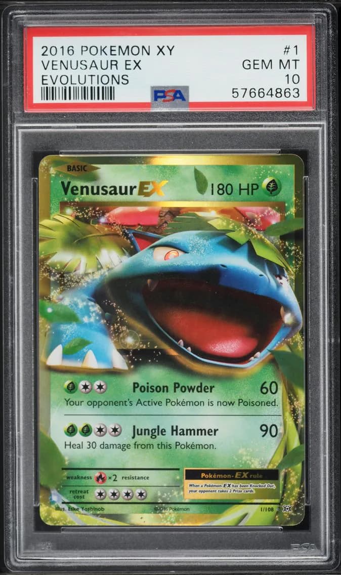 Venusaur-EX slab