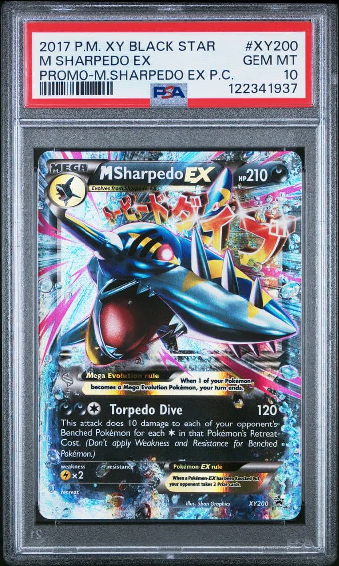 M Sharpedo-EX slab