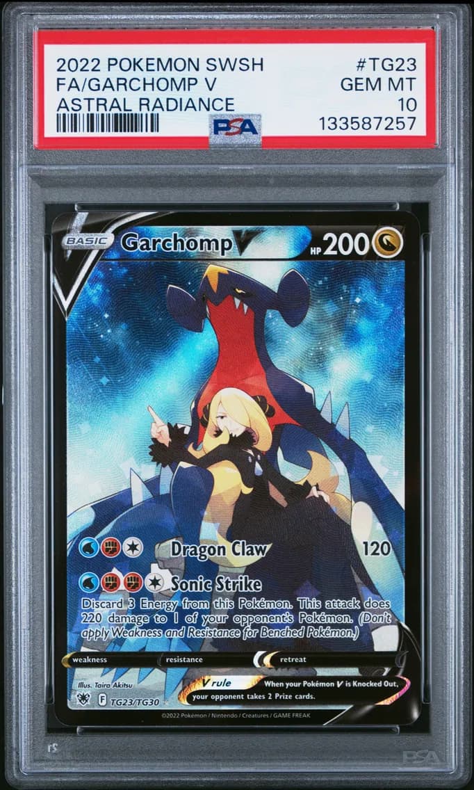 Garchomp V slab