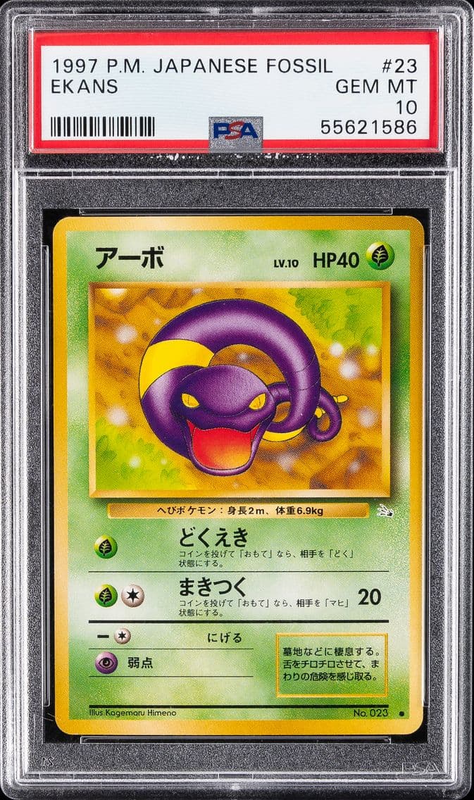 Ekans slab
