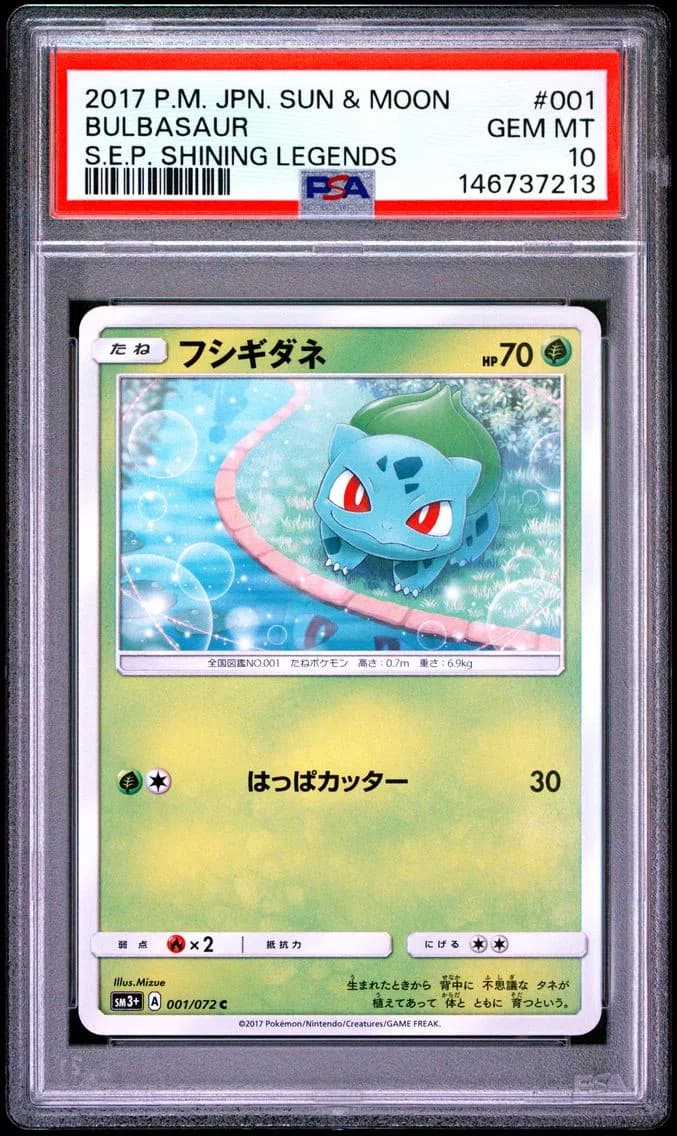 Bulbasaur slab