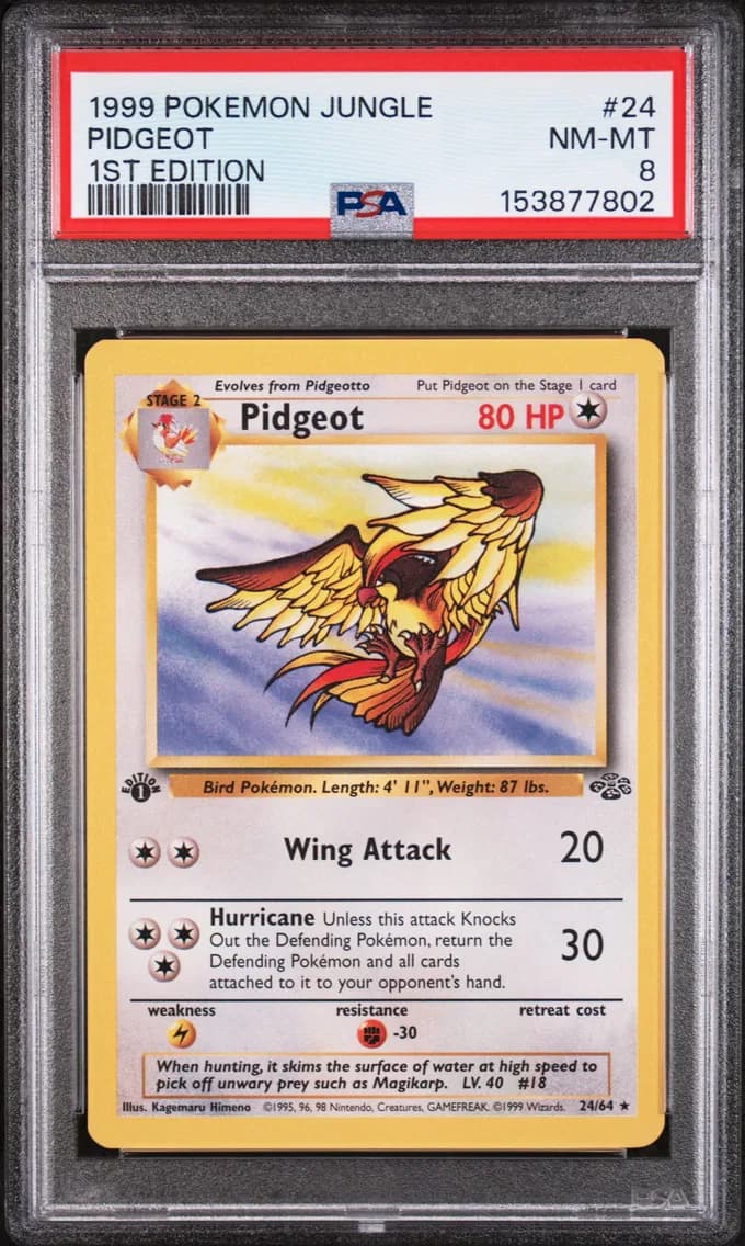 Pidgeot slab
