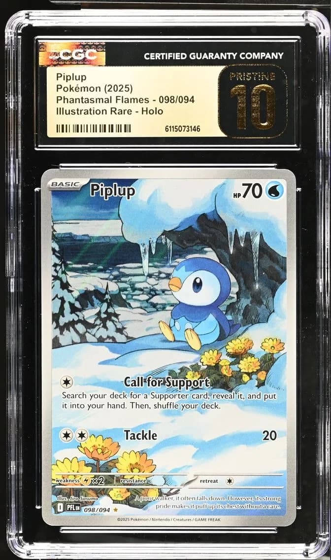 Piplup slab
