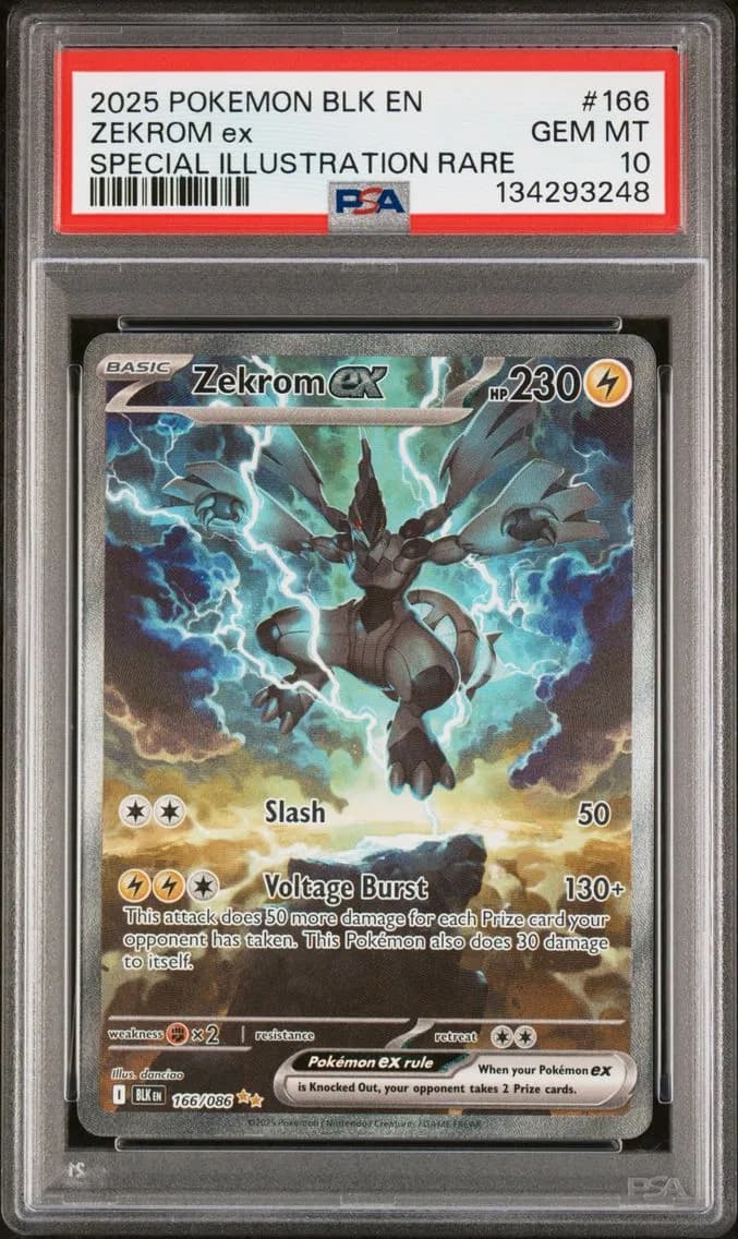 Zekrom ex slab