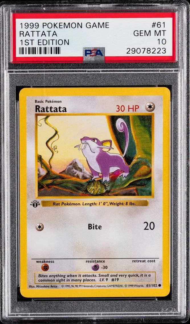 Rattata slab