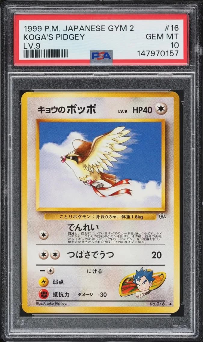 Koga's Pidgey slab