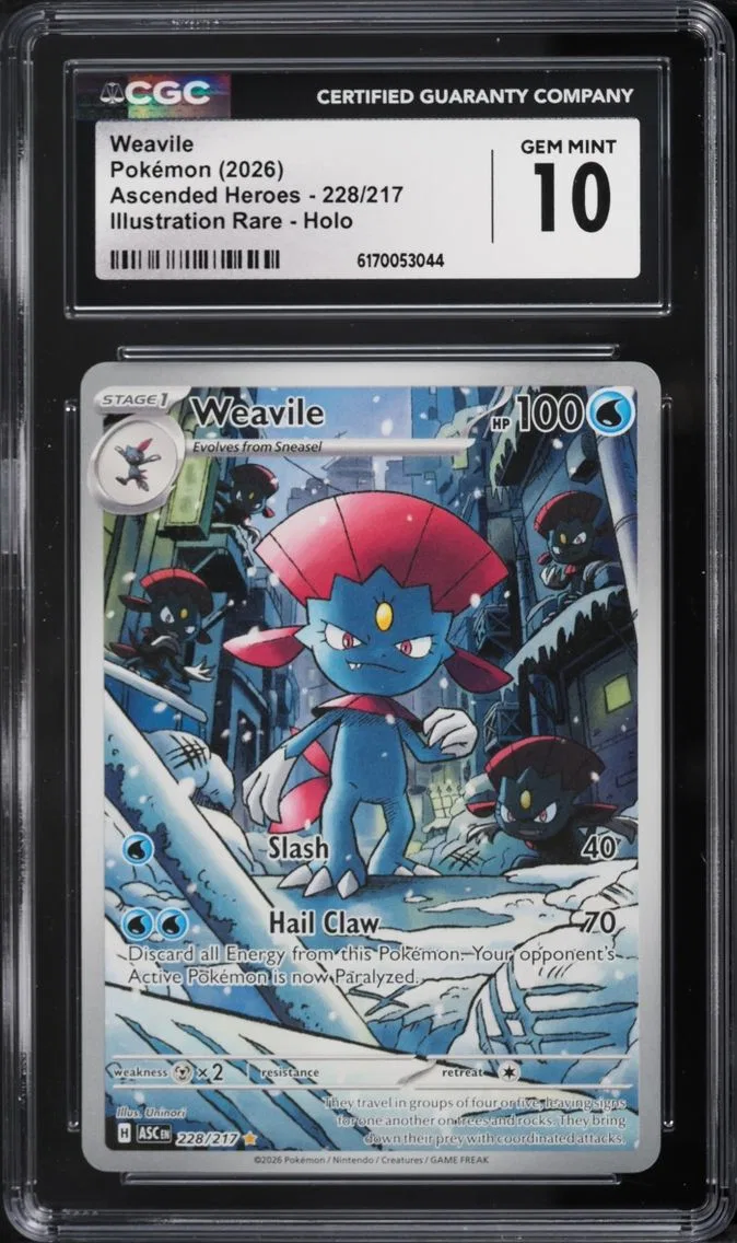 Weavile slab