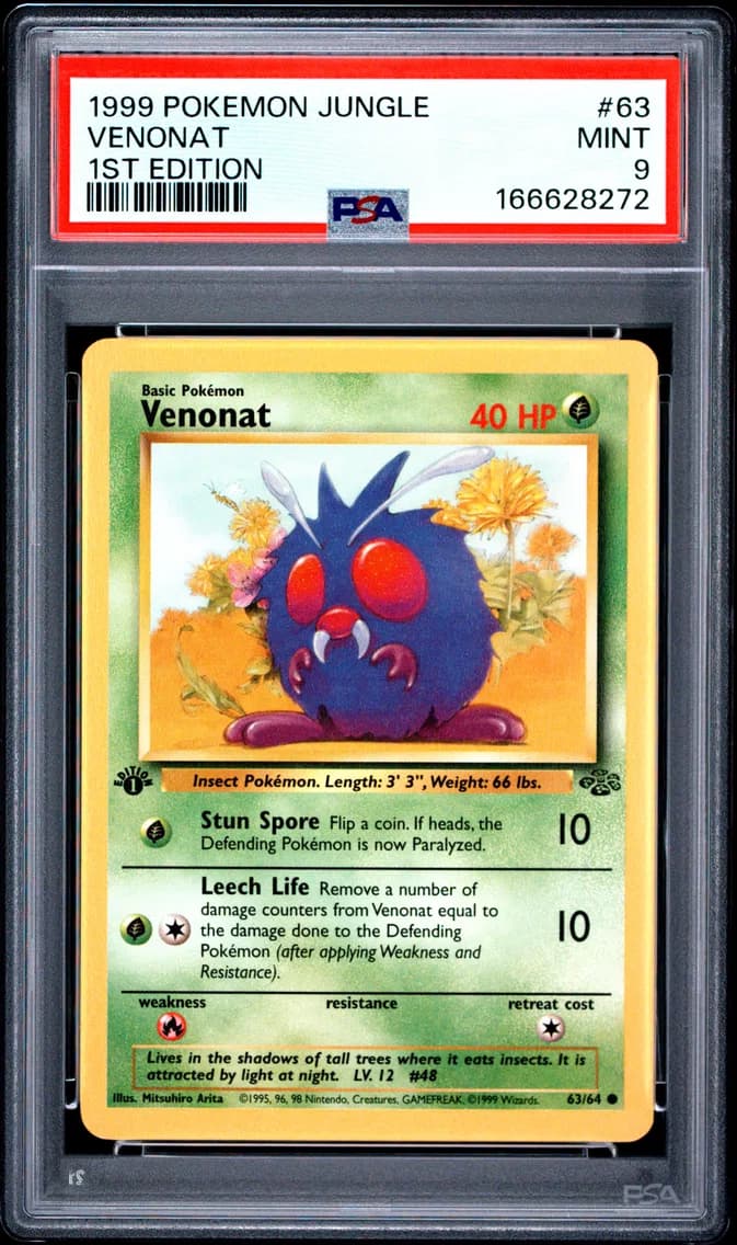 Venonat slab