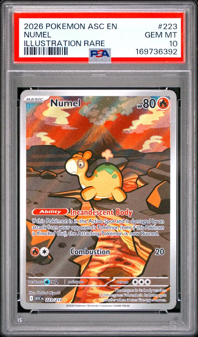 Numel slab