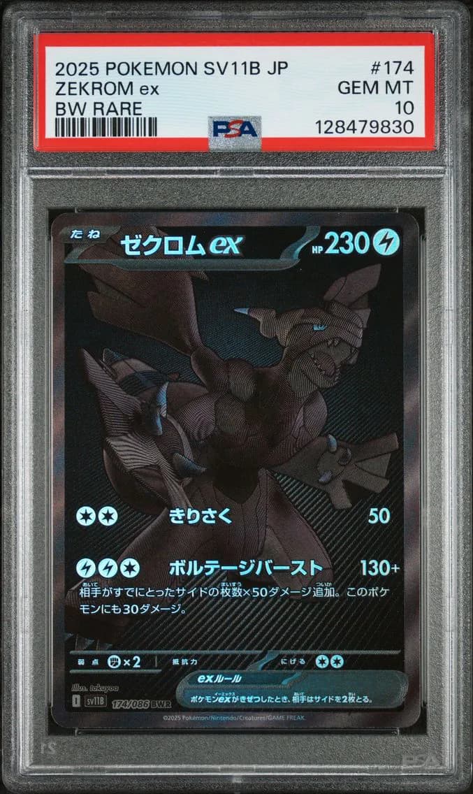 Zekrom ex slab
