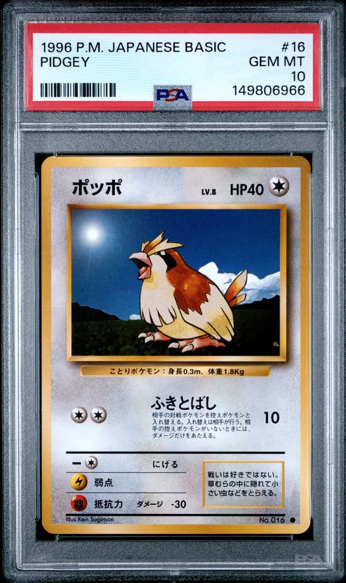 Pidgey slab