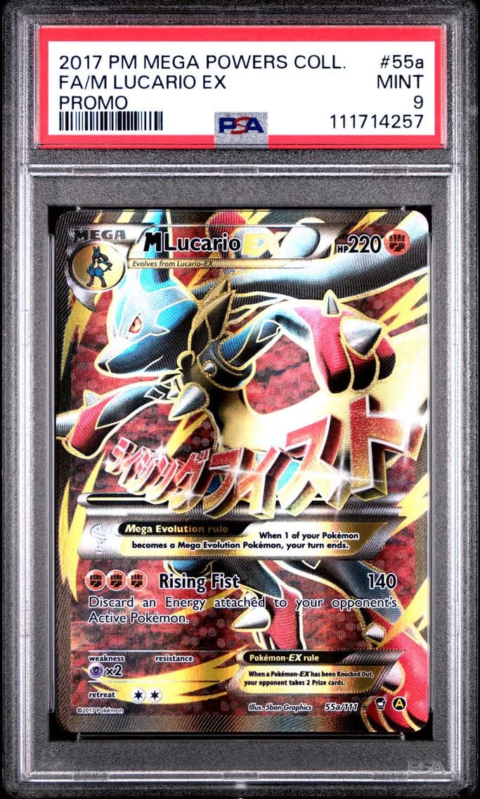 M Lucario-EX slab