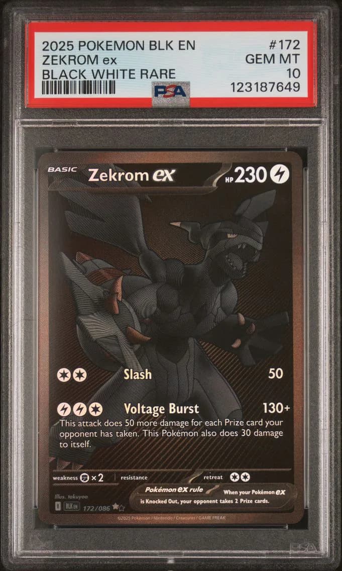 Zekrom ex slab