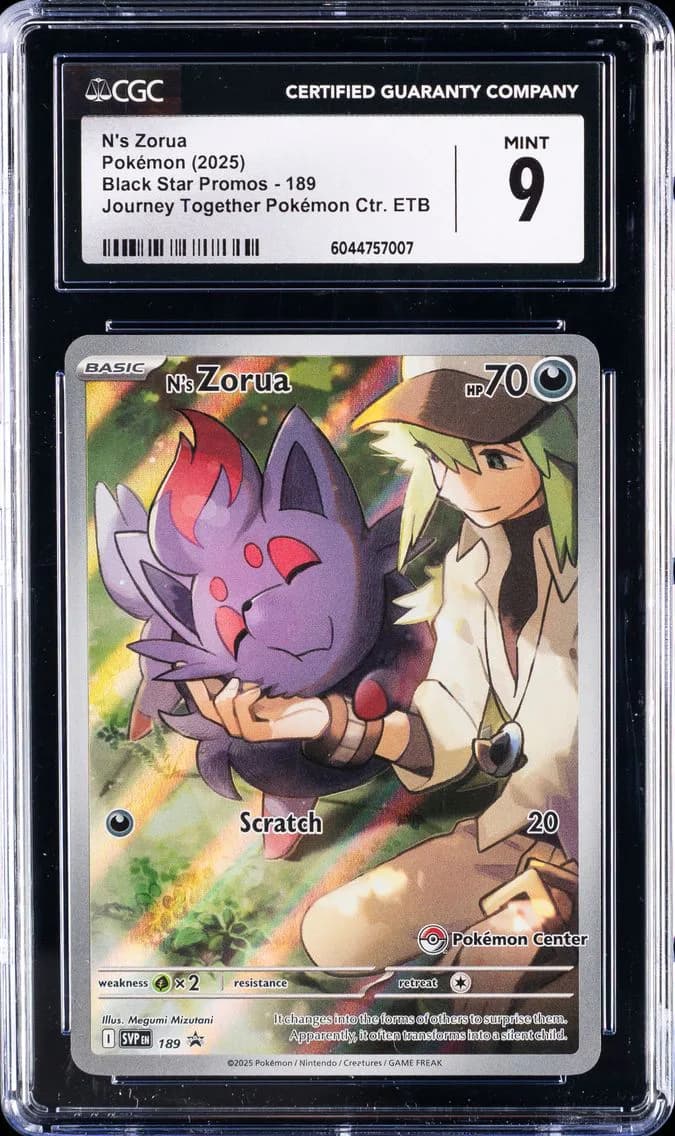 N's Zorua slab