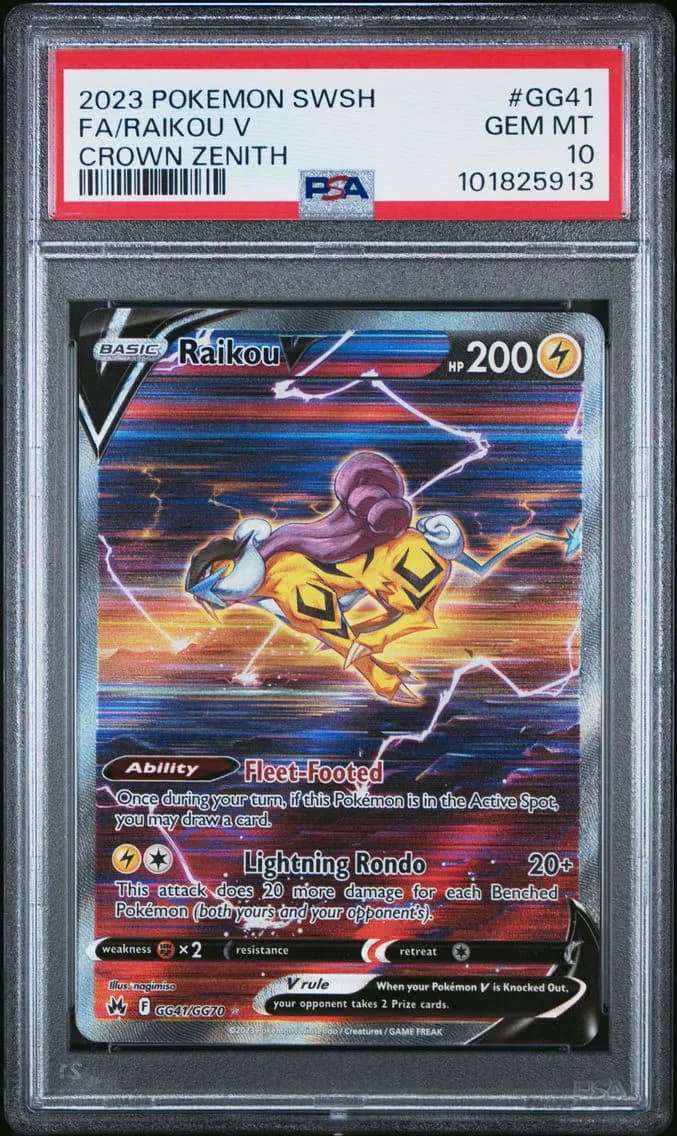 Raikou V slab