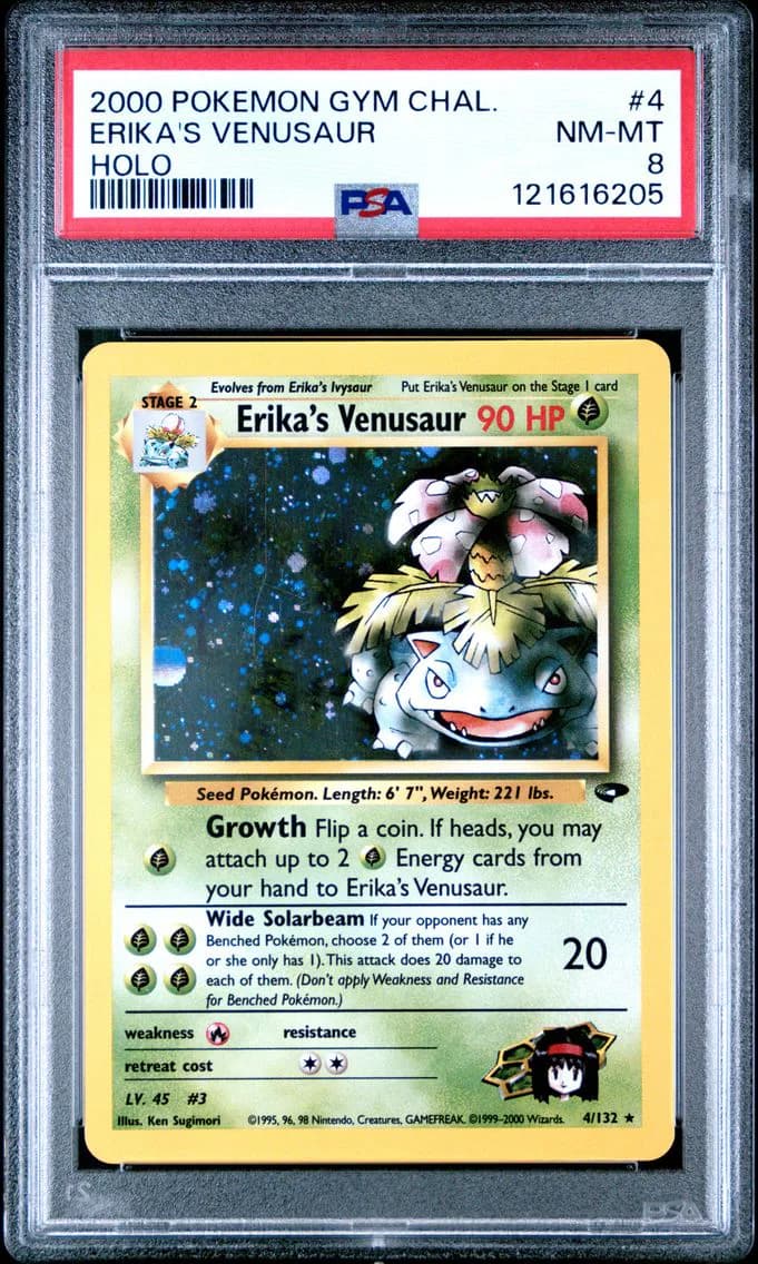 Erika's Venusaur slab