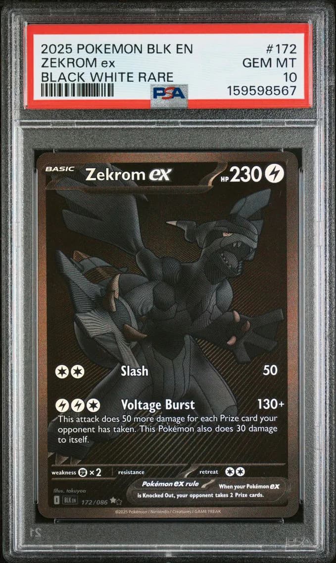2025 #172 Zekrom EX PSA 10 Blk EN-Black Bolt