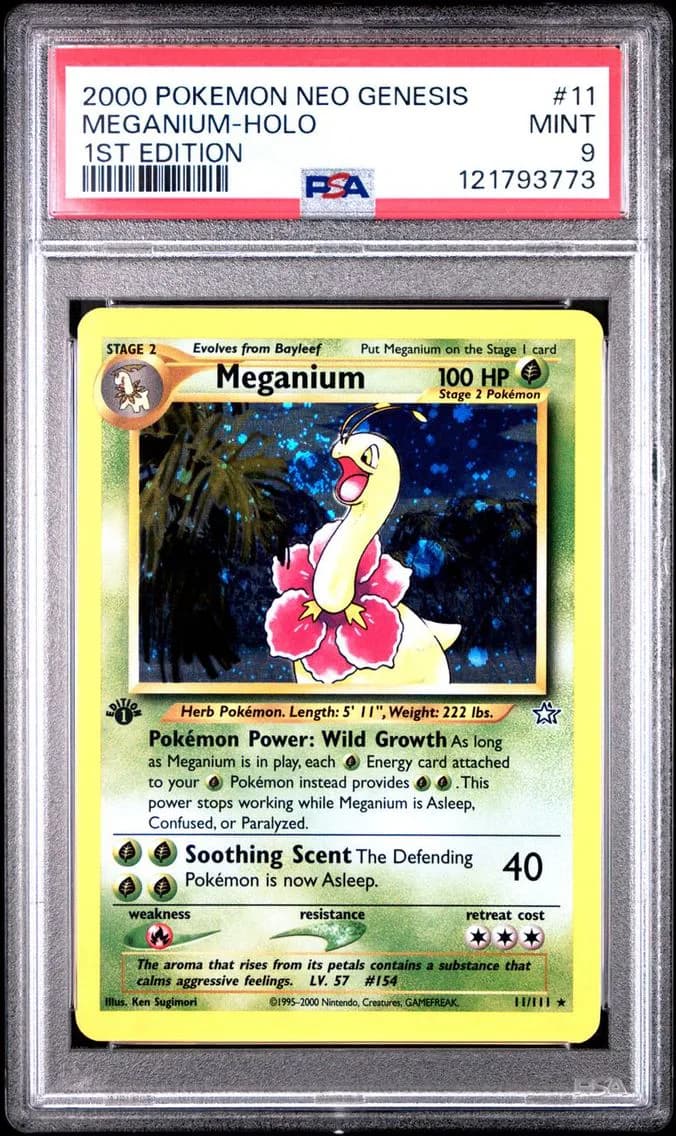 Meganium slab