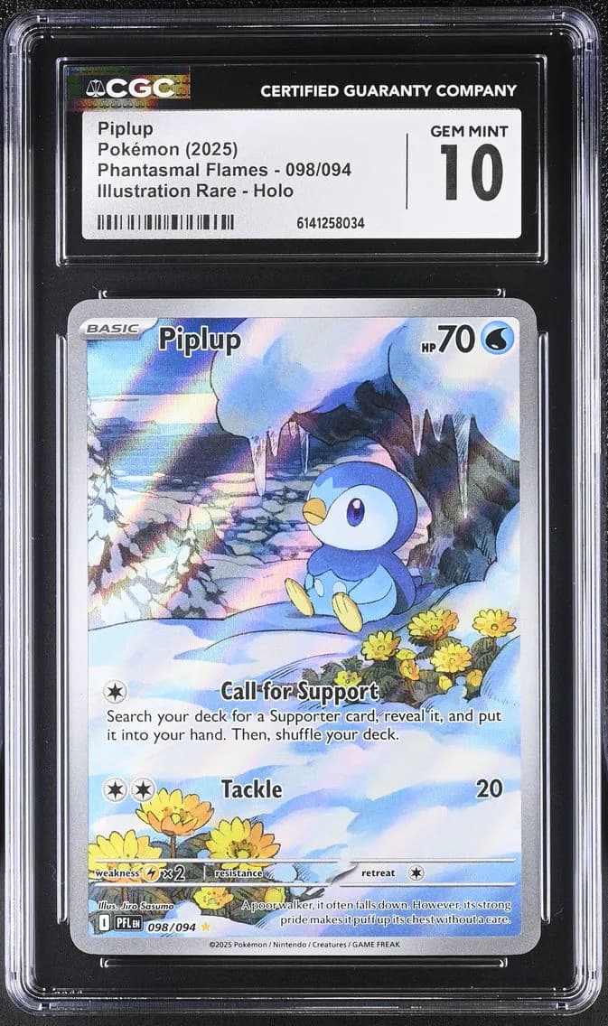 Piplup slab