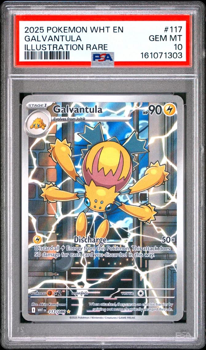 Galvantula slab