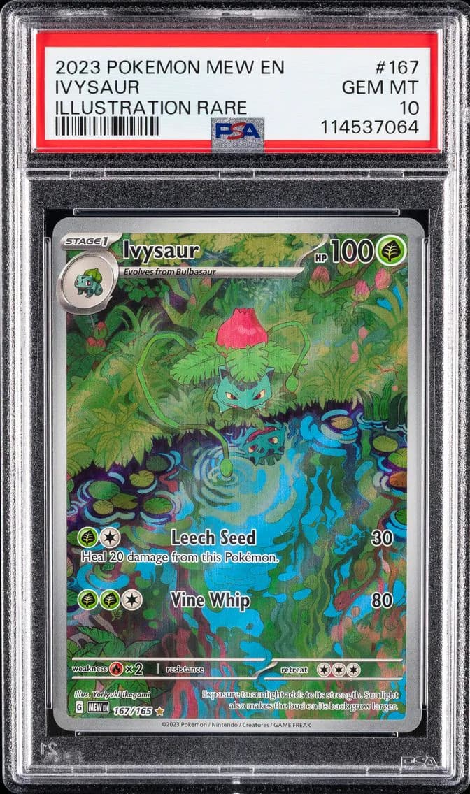 Ivysaur slab