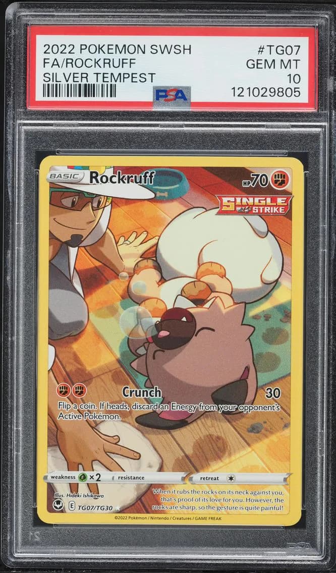 Rockruff slab