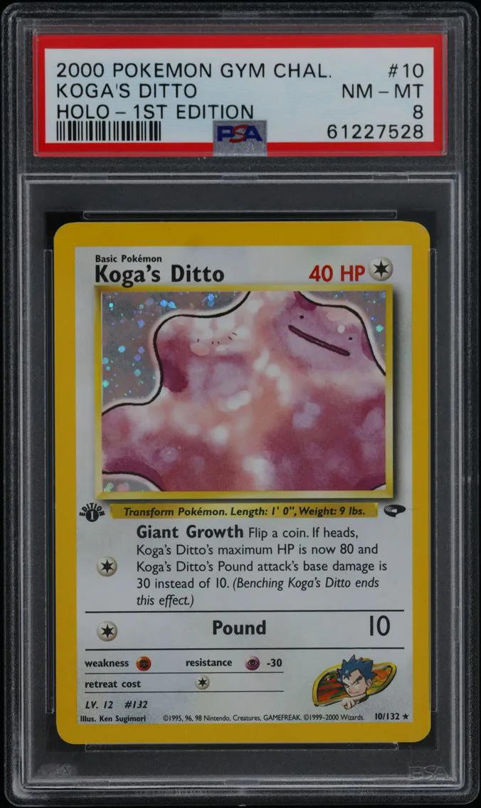 Koga's Ditto slab