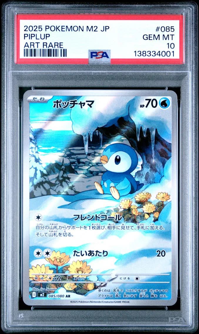 Piplup slab