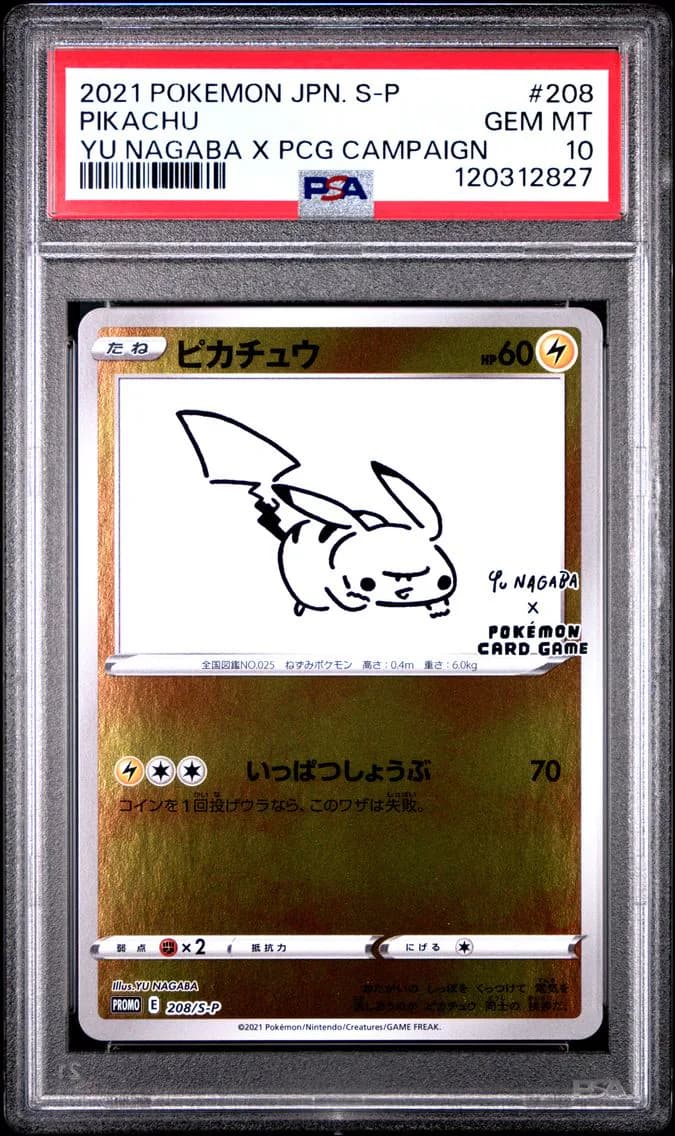 _____'s Pikachu slab