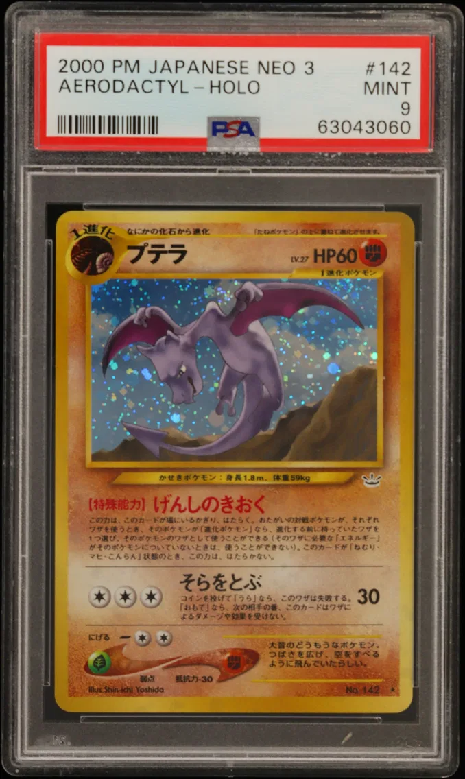 Aerodactyl slab