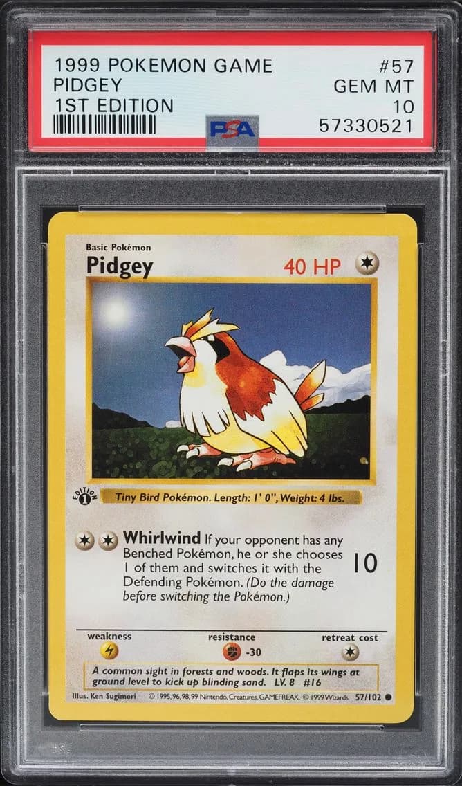 Pidgey slab