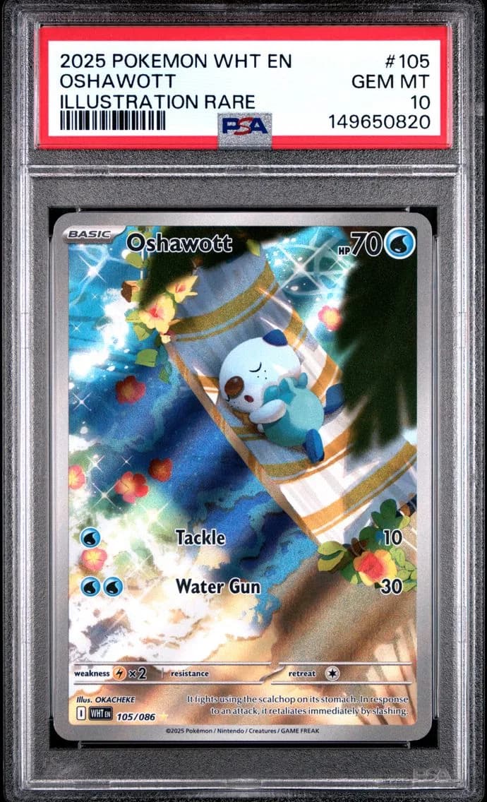 2025 #105 Oshawott PSA 10 Wht EN-White Flare