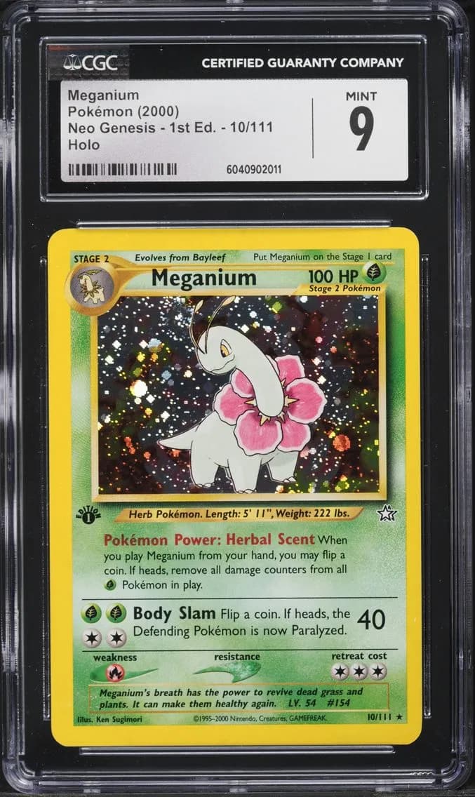 Meganium slab
