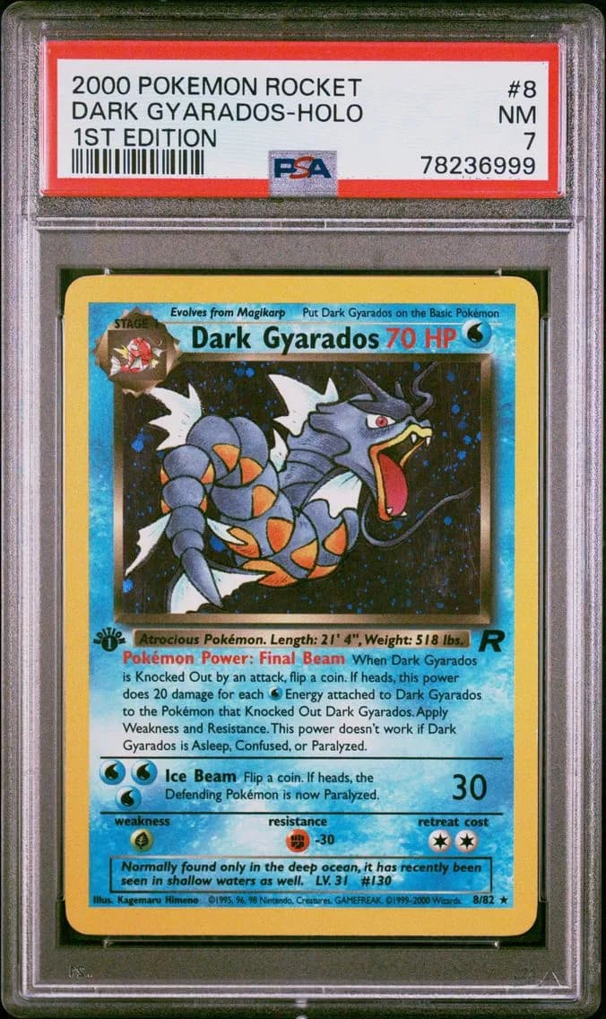 Dark Gyarados slab