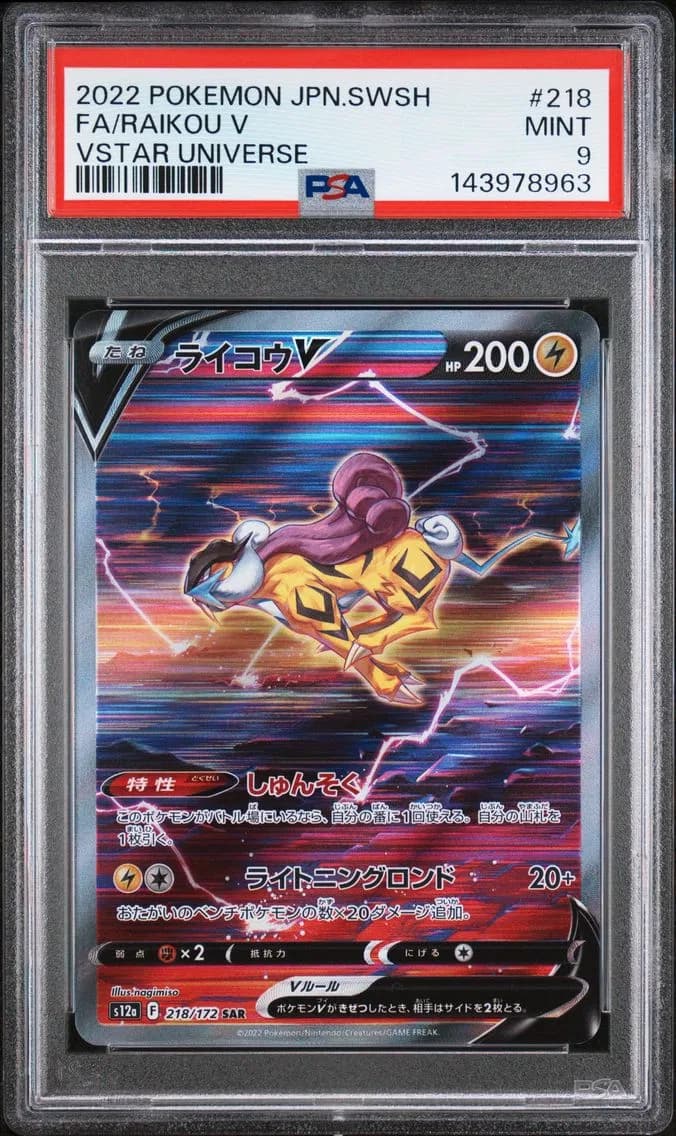 Raikou V slab
