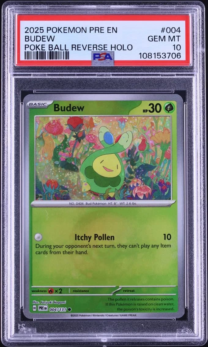 Budew slab