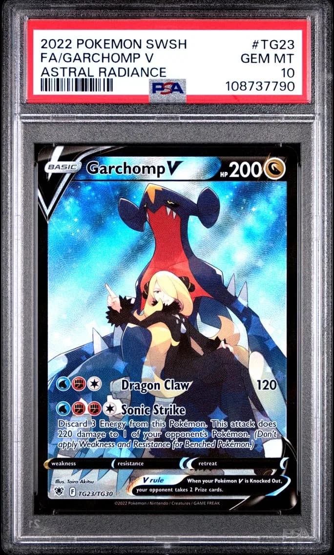 Garchomp V slab